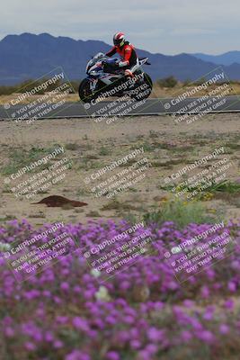 media/Jan-14-2023-SoCal Trackdays (Sat) [[497694156f]]/Turn 14 Exit Bloomig (145pm)/